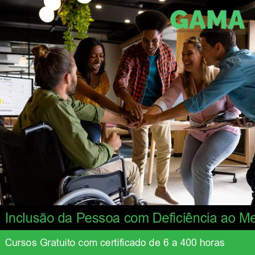 Inclusão da Pessoa com Deficiência ao Mercado de Trabalho